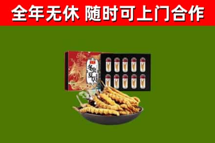 茶陵回收冬虫夏草价格